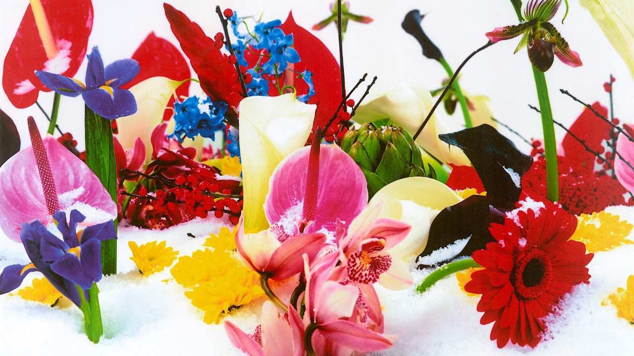 Pera Müzesi’nin 20. yılında “Ortak Duygular” sergileniyor