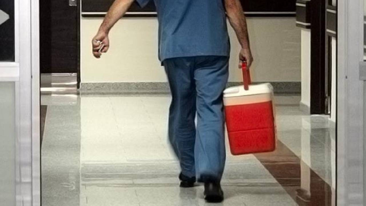 Organ bağışında yeni dönem başladı: e-Devlet ve e-Nabız üzerinden yapılabilecek