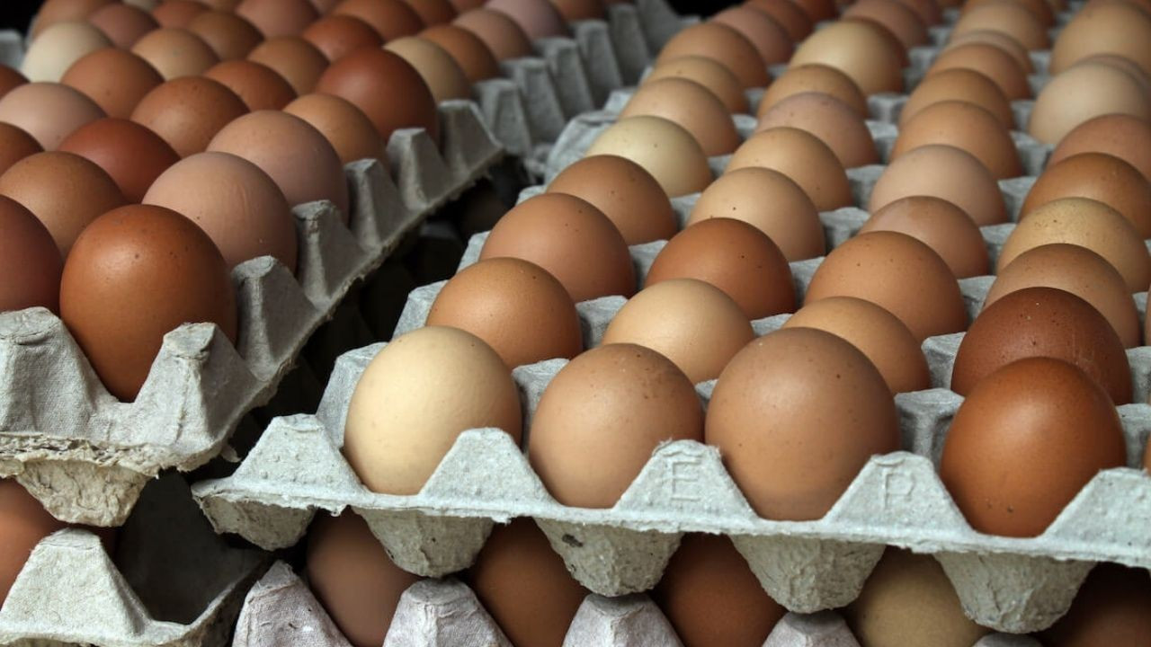 Uzman isim açıkladı: Yumurtaya zam gelecek mi?