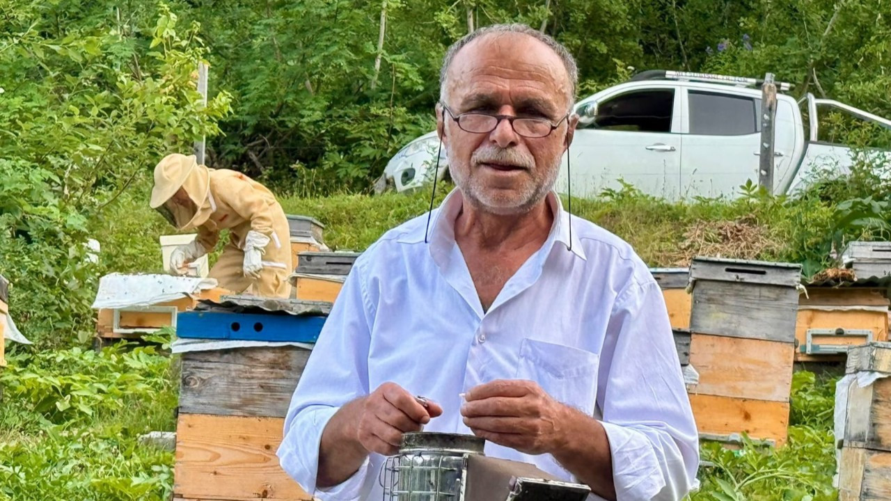 Küresel ısınma Artvin balını vurdu: rekolte %20 düştü