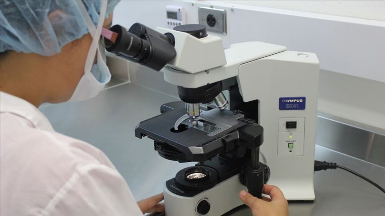 Türkiye’deki ilk molekül üretimini ABD’li TSI yapacak