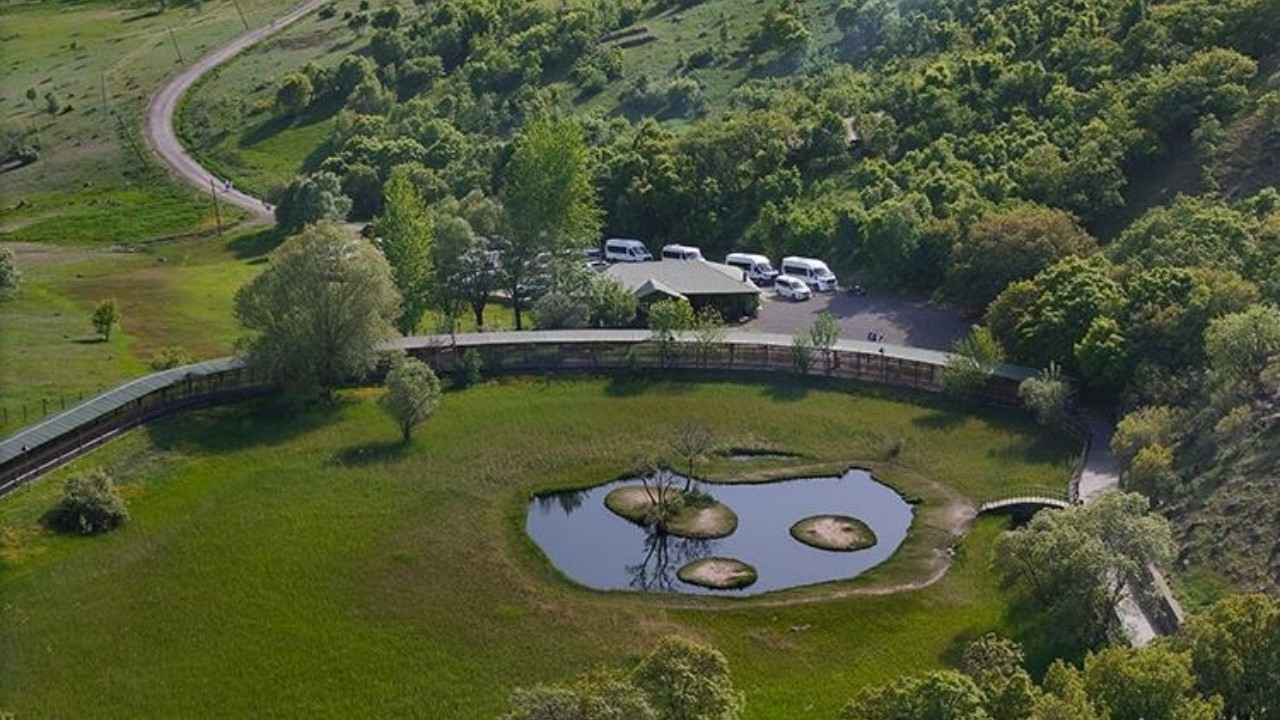 Uluslararası düzeyde korunan alanlarda ceza ve denetimler artacak