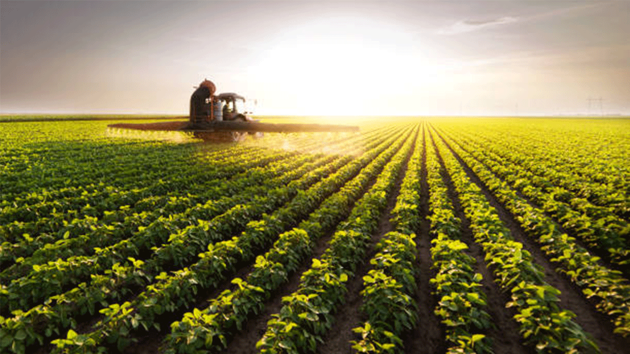 Tarımın geleceği Bursa’da şekilleniyor