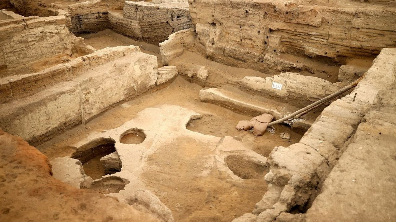 Tavşanlı ve Çatalhöyük’te tarihi keşif! Binlerce yıllık nohut ve ekmek kalıntısı bulundu