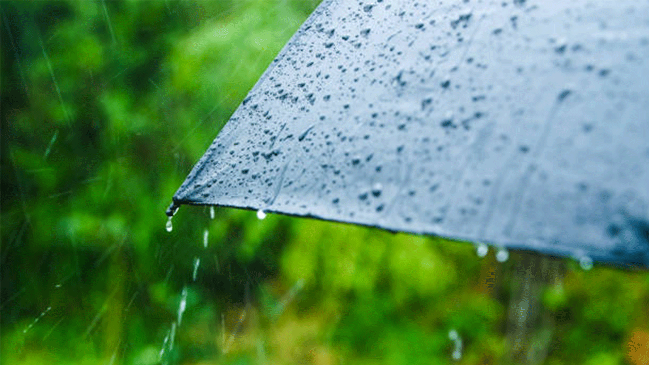 Yağışlar Bursa’daki barajlara can suyu oldu