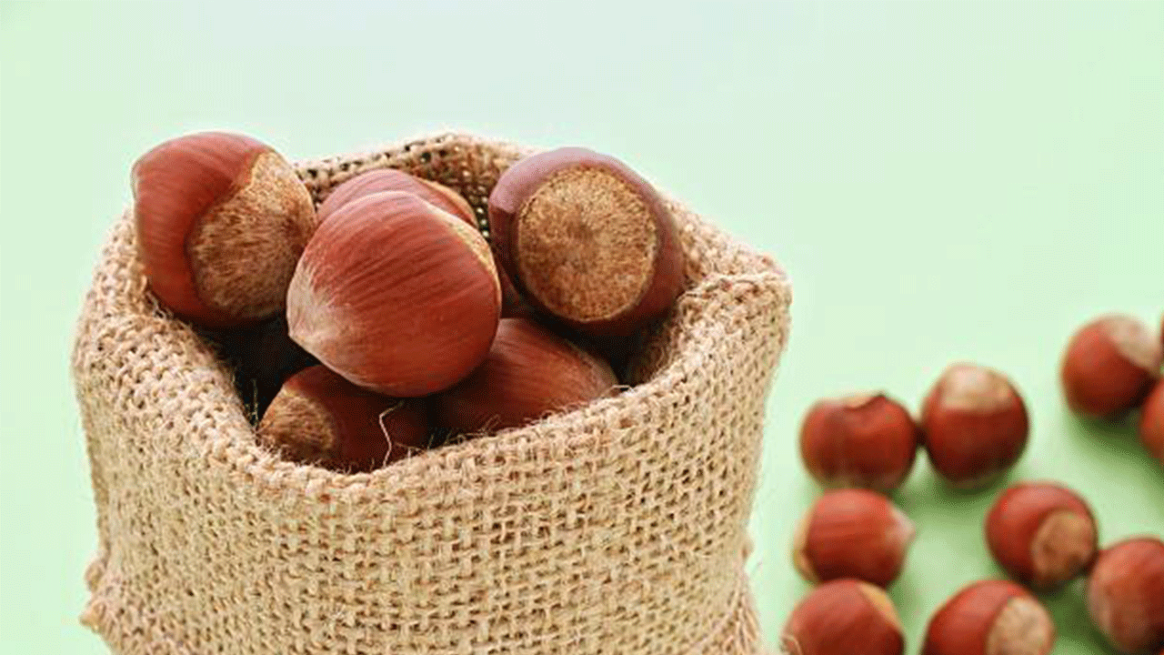 Düzce fındık ihracatında yeni rekora imza attı