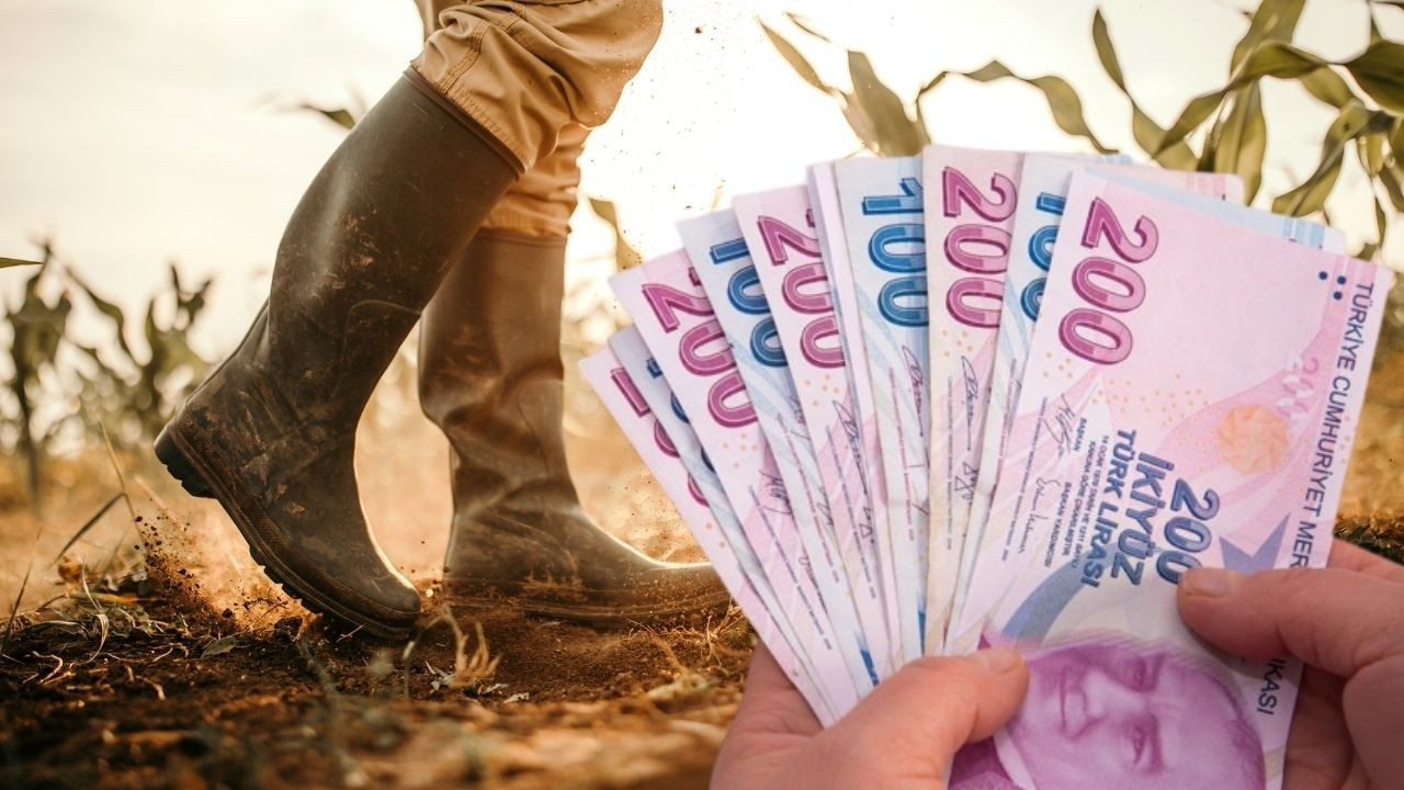 TARSİM, çiftçilere 2.5 milyar liralık kuraklık tazminatı ödemesi yaptı