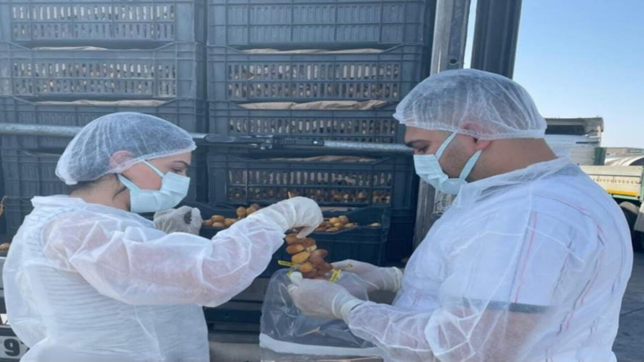 Habur Sınır Kapısında taze hurma ithalatına kapsamlı denetim