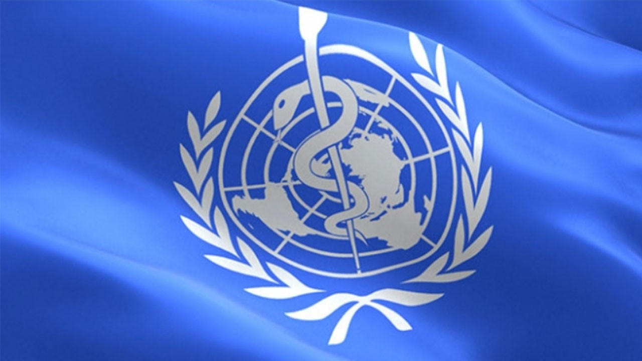 DSÖ: Dünya genelinde 4,4 milyardan fazla kişi kentsel alanlarda yaşıyor