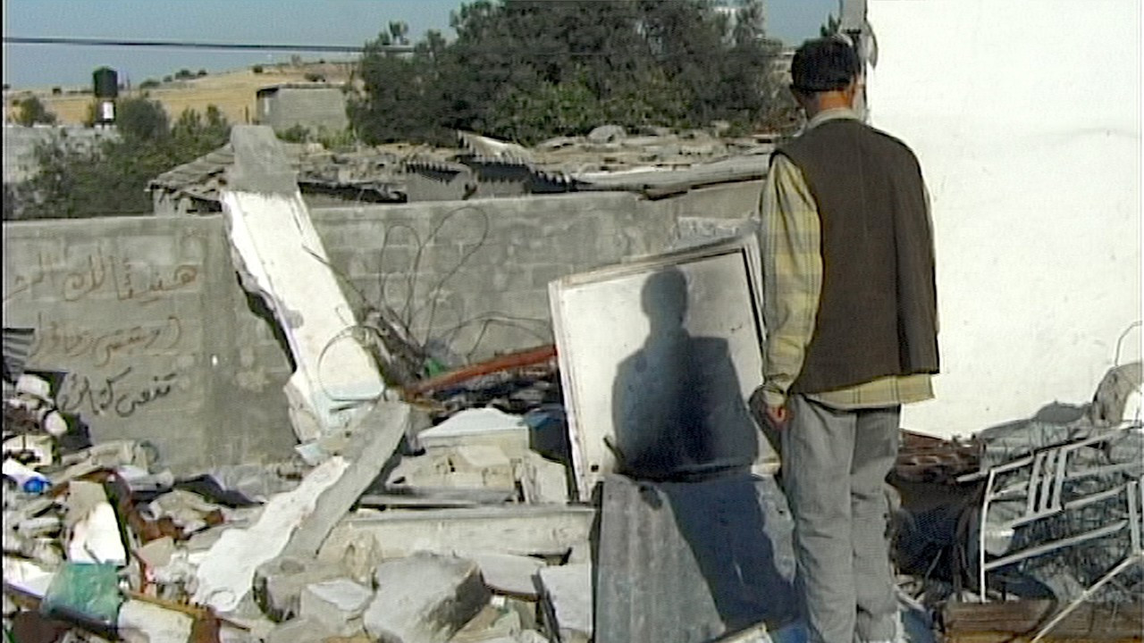 Locarno Film Festivali İstanbul’da!