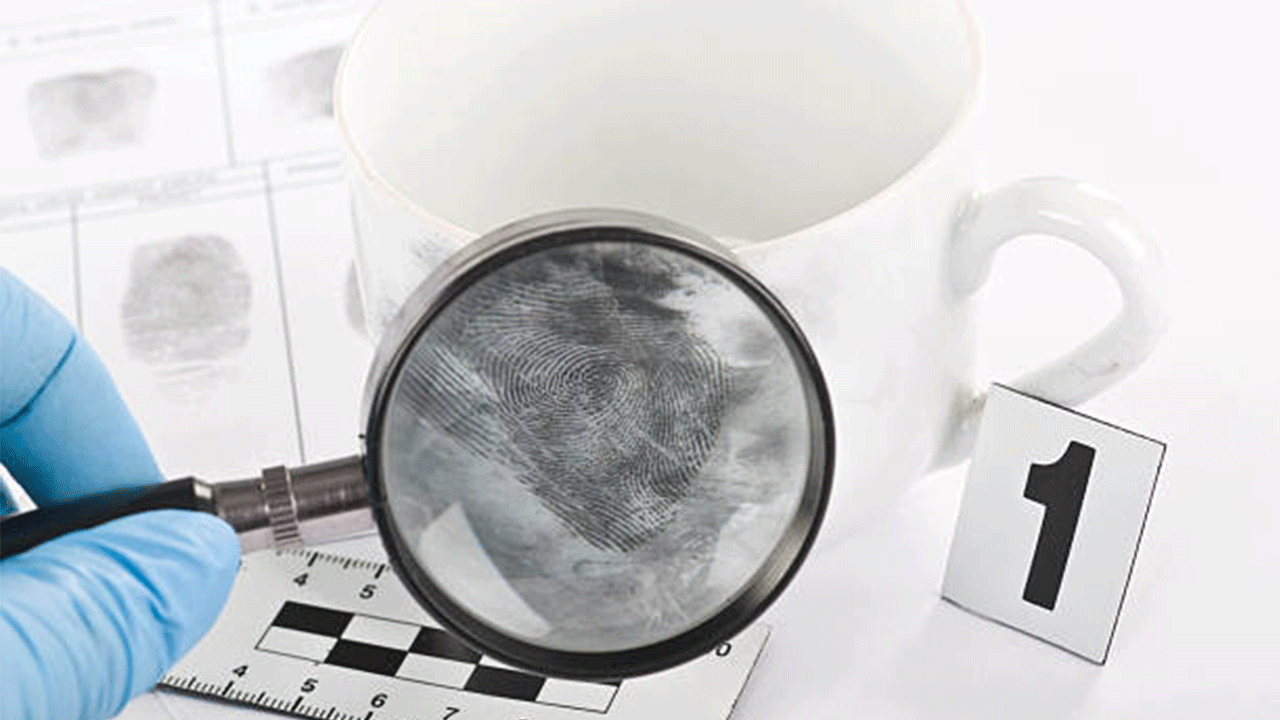 Bilim, 700 yıllık gizemi çözdü: Tarihi cinayet aydınlandı