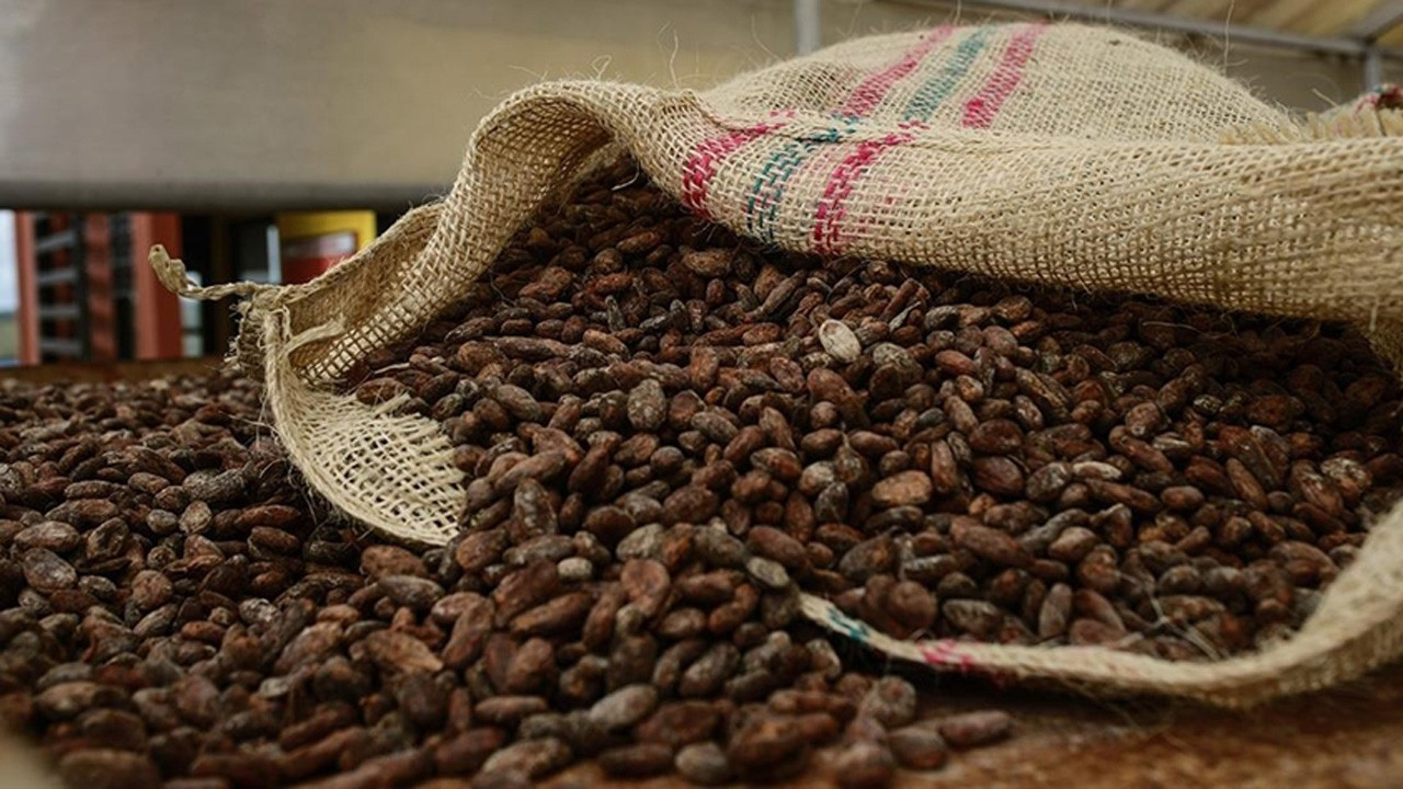 Kakao fiyatında ‘parabolik yükseliş’ eğilimi sona erdi