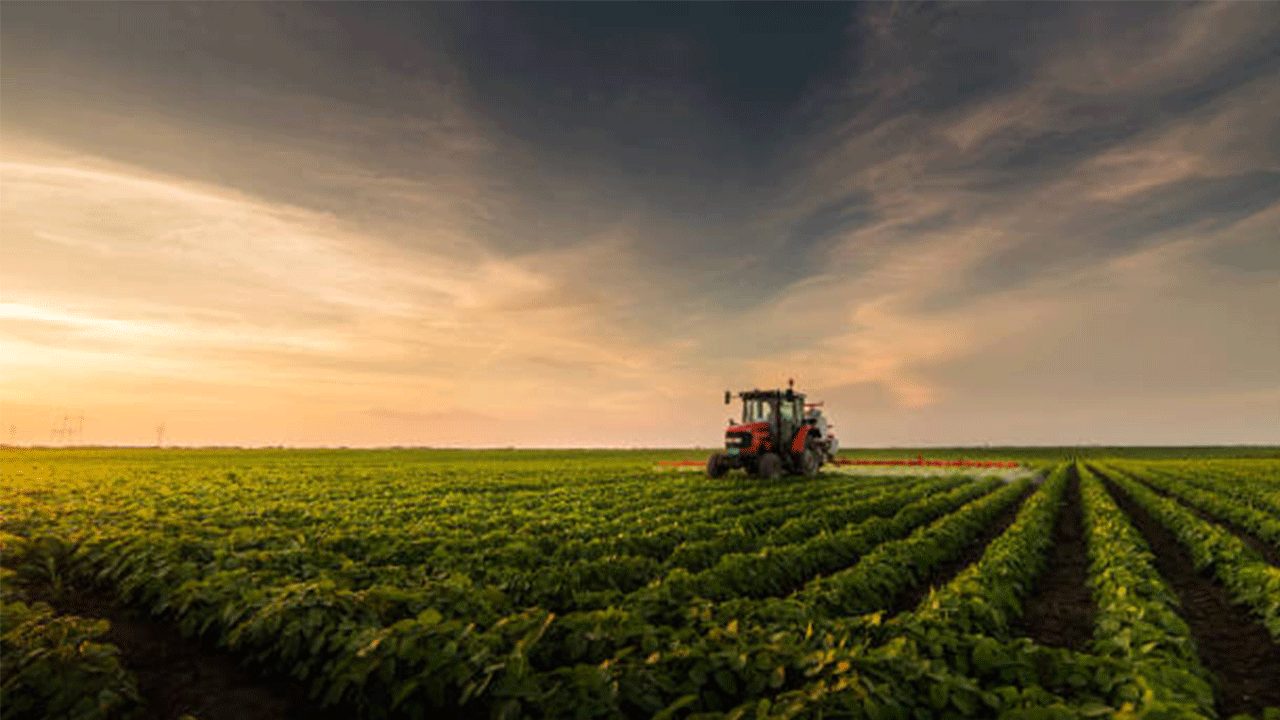 Tarım üretici fiyatlarında artış 6 ayın en düşüğünde