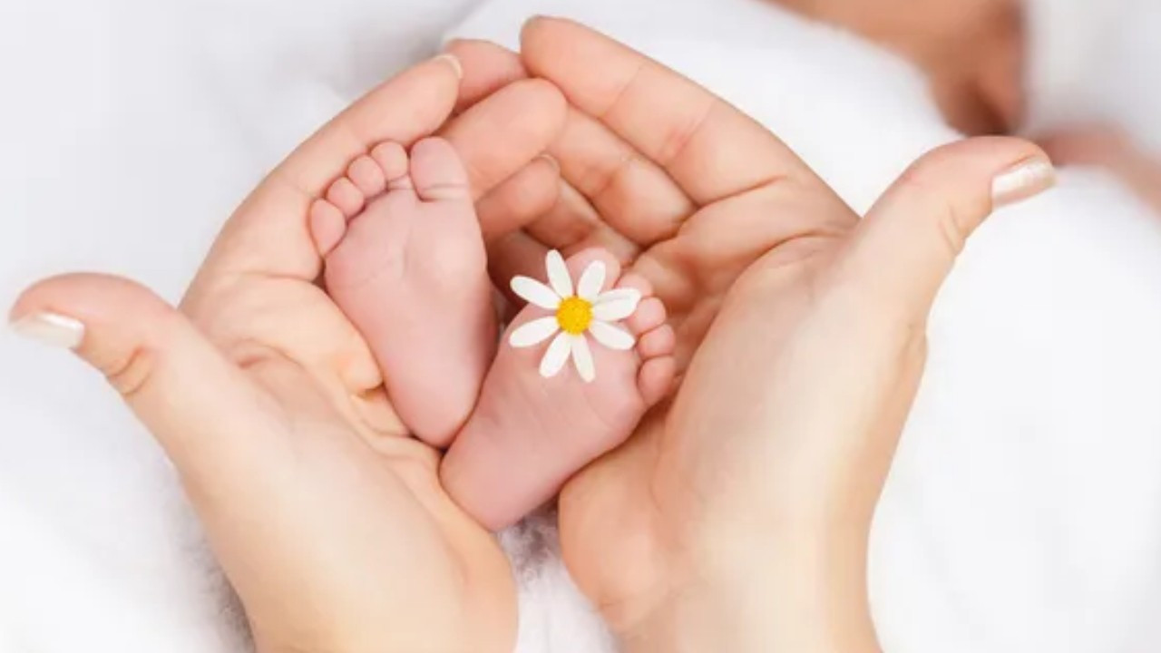 Kasım ayı doğum yardım ödemeleri ne zaman yatacak? 2025 Kasım doğum yardım başvuru ekranı!