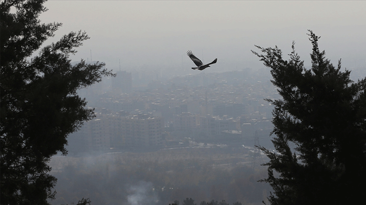 İran, hava kirliliğinin önlenmesi amacıyla Euro 5 benzin üretimini artırmayı planlıyor