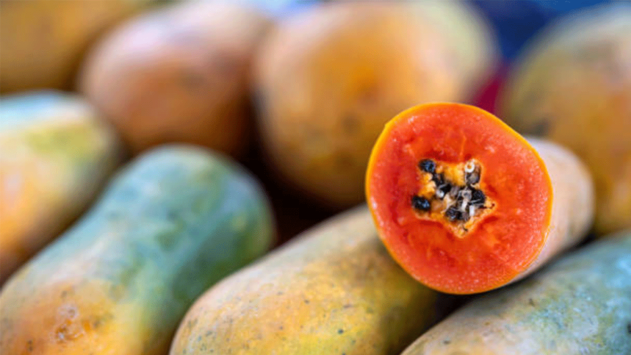 Papaya üretiminde Alanya’dan ihracat hamlesi