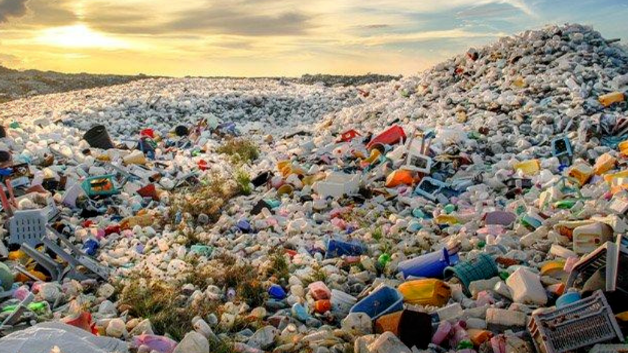 Türkiye, Avrupa’nın atık deposu mu? 10 yıllık çöp ihracat tablosu yayımlandı