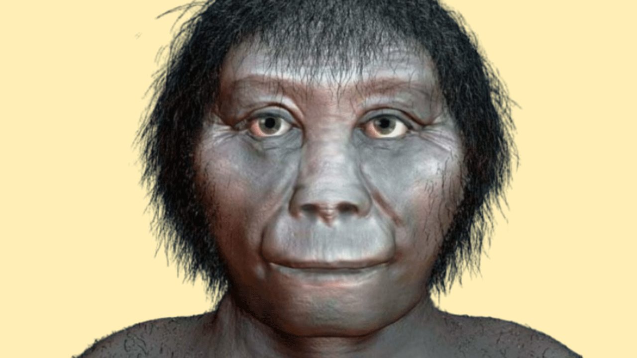 Flores Adası’ndaki 'Hobbitlerin' gizemli yok oluşu çözüldü