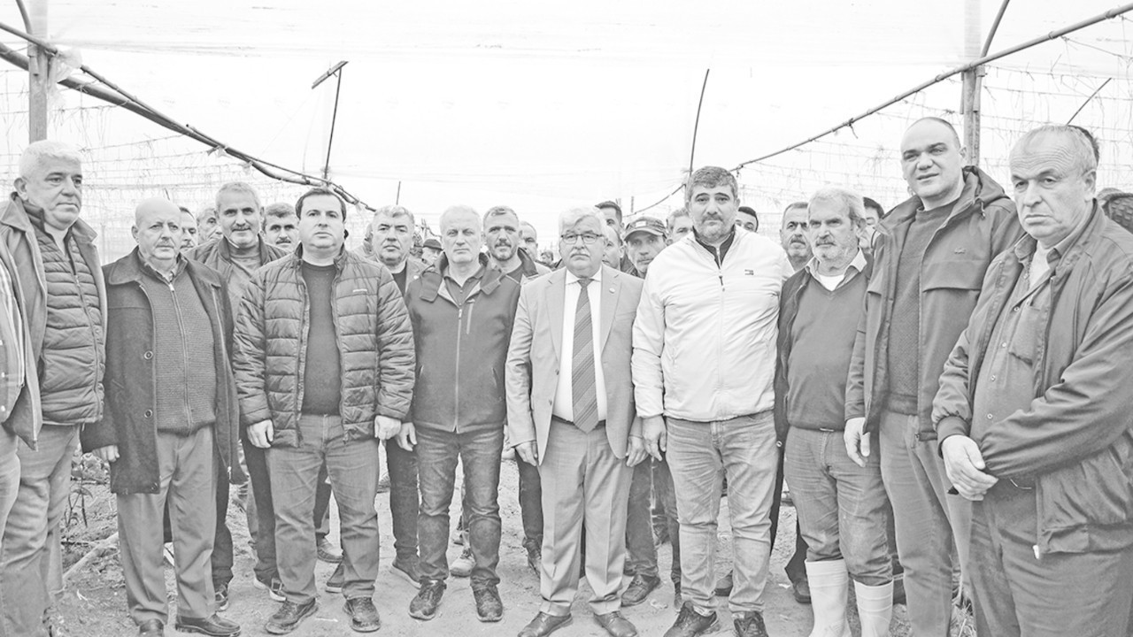 "Örtü altındaki üretici zarar gördü, yerinde tespit yapılmalı"