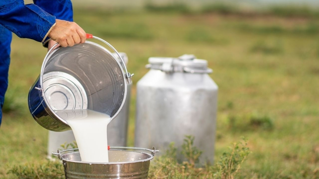 TÜSEDAD/Müslüm Doğru: Çiğ süt en az 27 TL olmalı