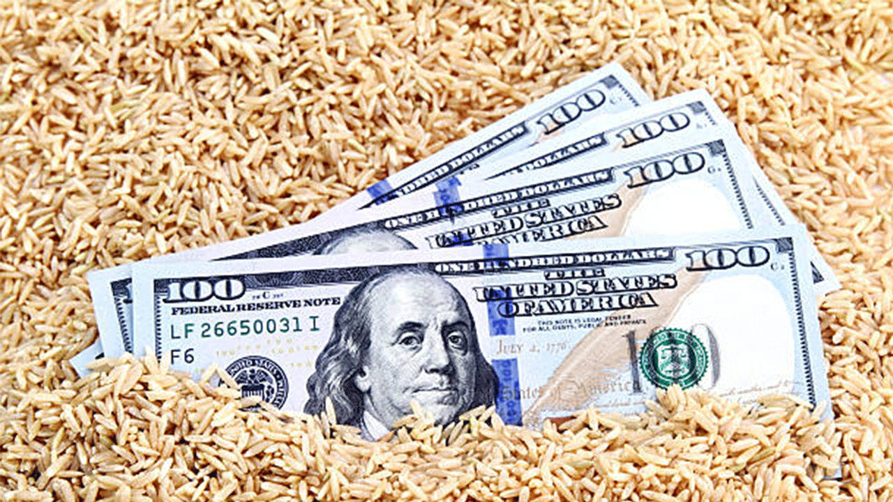 Güneydoğu, 11 ayda 3,2 milyar dolarlık hububat ihraç etti