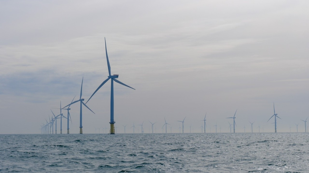 ABD, 5 açık deniz rüzgar enerjisi projesini durdurdu