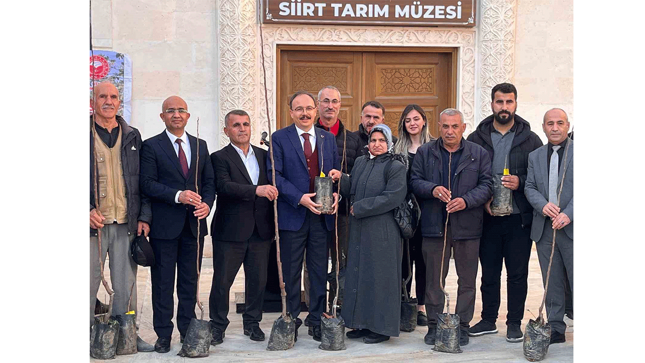 Siirt’te çiftçilere 25 bin fıstık ile 4 bin 300 Trabzon hurması fidanı desteği