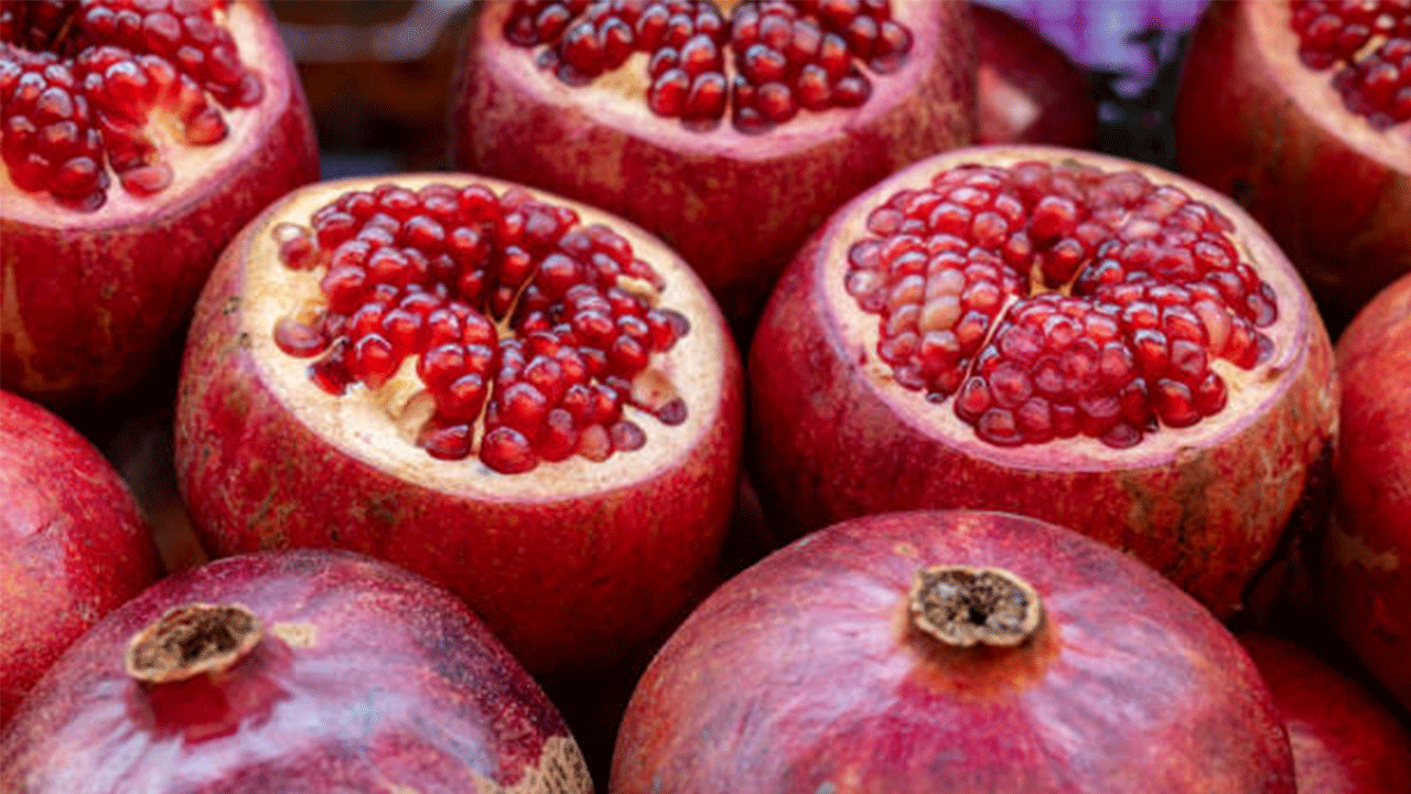 Antalya Korkuteli’nden toplanan narın ihracatı başladı