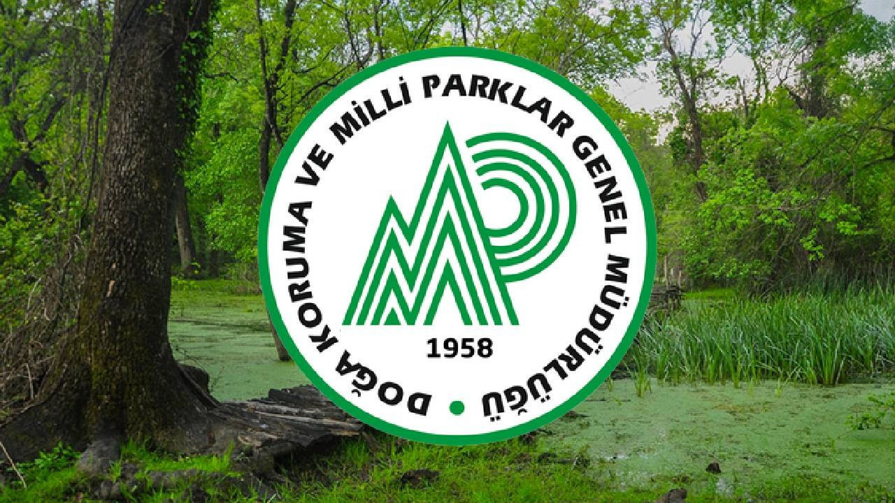 Doğa Koruma ve Milli Parklar Genel Müdürlüğü 10 müfettiş yardımcısı alacak