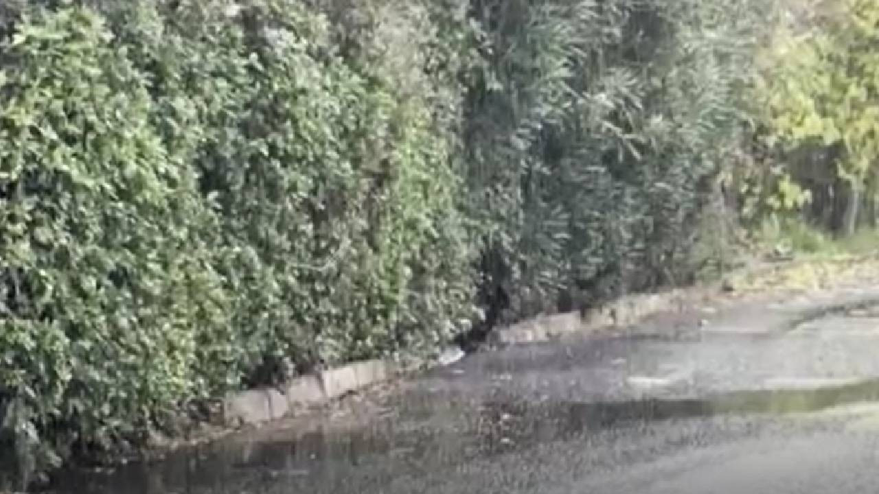 Meteoroloji uyarmıştı: İstanbul’da kar yağışı başladı (Video)