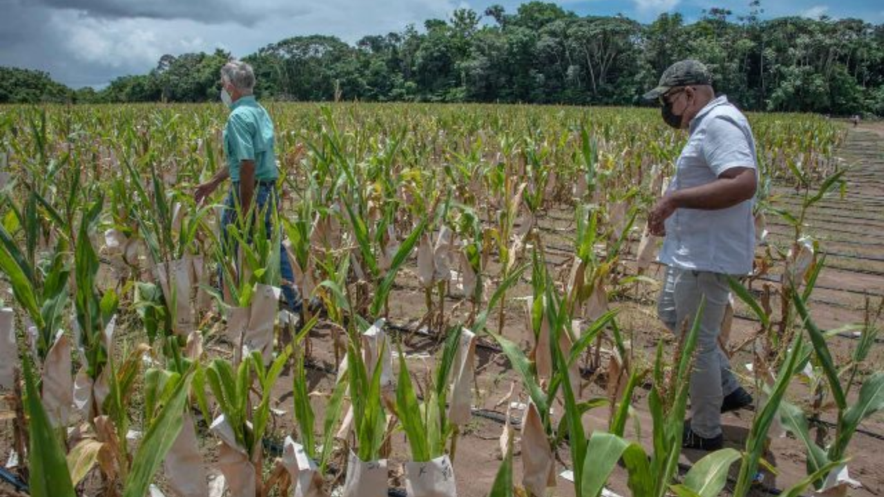 Dünyada tarımda kendi kendine yetebilen tek bir ülke var: Türkiye'de durum ne?