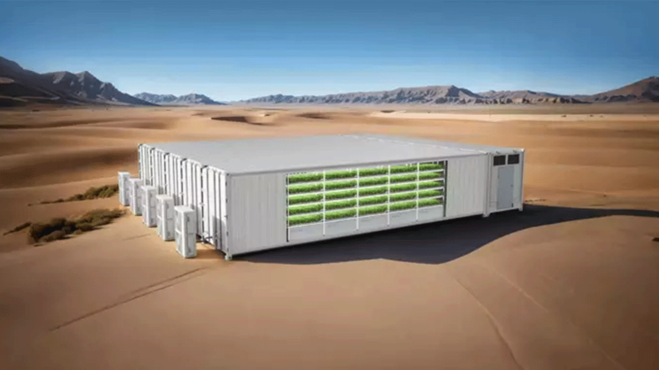 Ergofarm ile Çinli 4D-Bios'tan dikey tarımda stratejik iş birliği