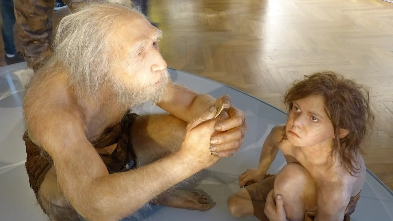 45 bin yıllık karanlık gerçek: İnsanlar Neandertal çocukları yemiş olabilir