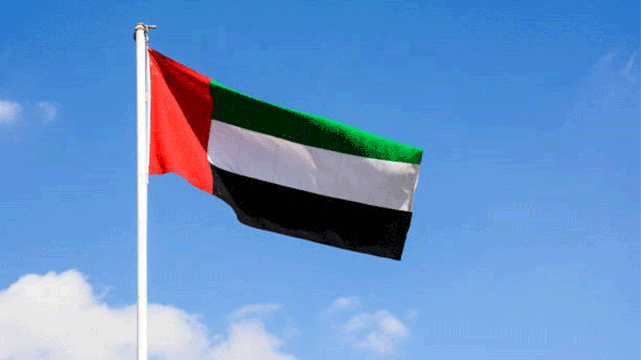 Birleşik Arap Emirlikleri'nden, Yemenli taraflara sağduyu çağrısı