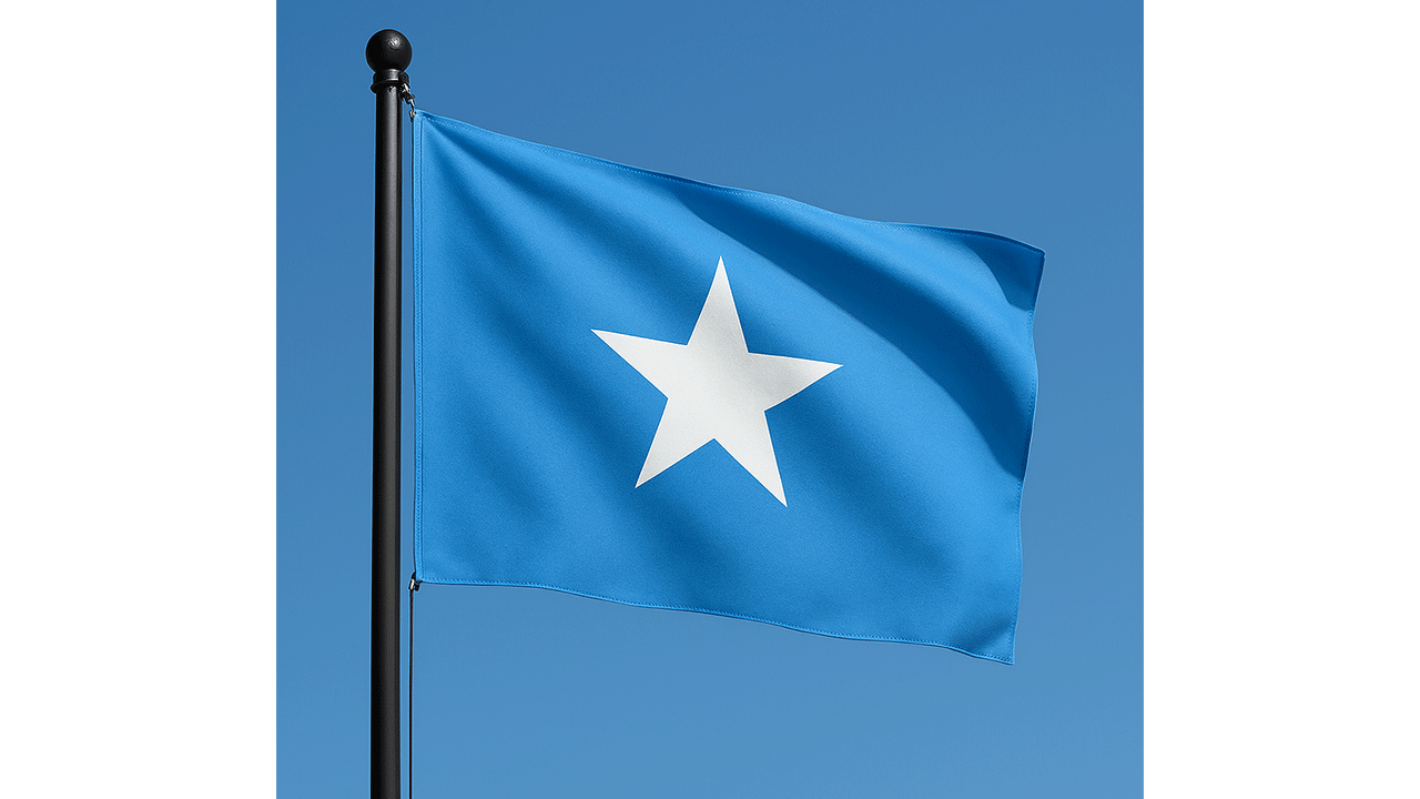 Somali’de terör örgütü Eş-Şebab’a ağır darbe: 20'den fazla terörist etkisiz hale getirildi