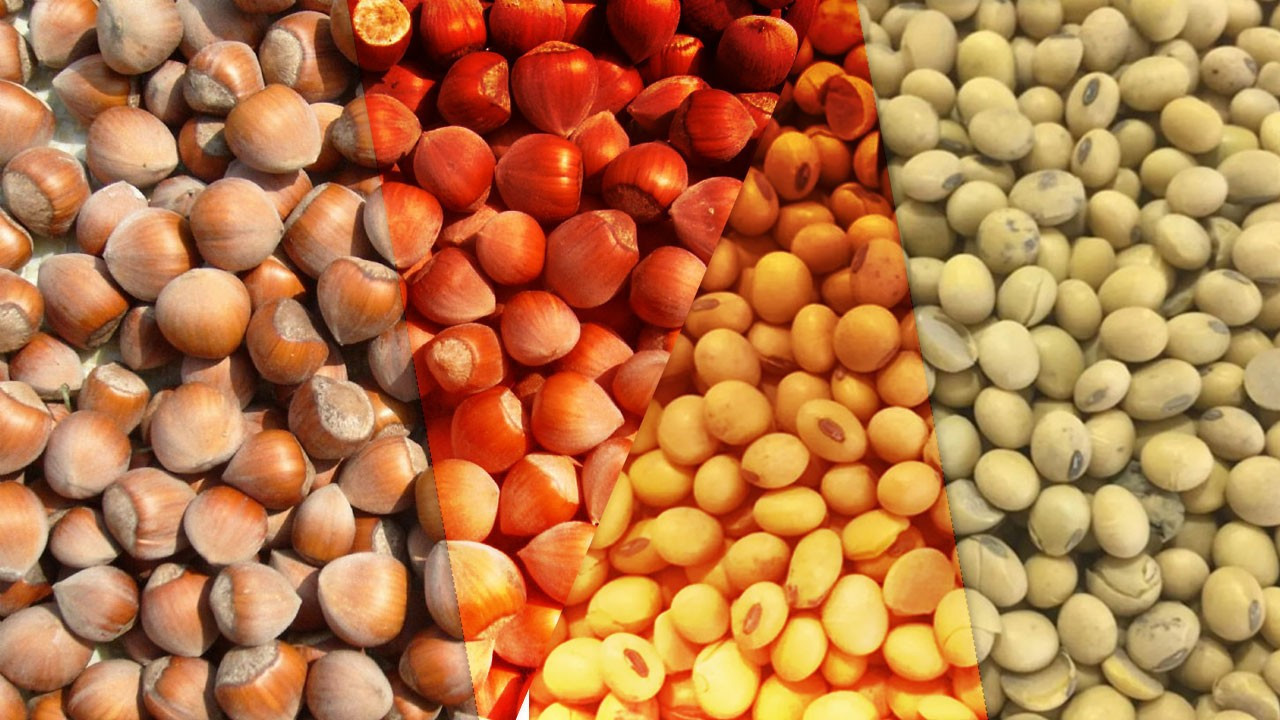 Tarım, gıda ve içecekte 2025'in 11 ayında 24,79 milyar dolarlık ihracat