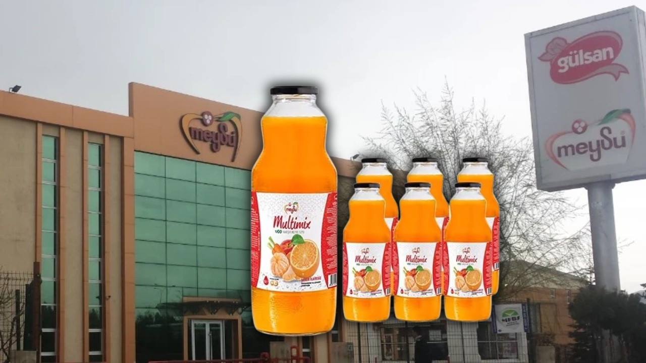 MEYSU kişi başı kaç lot verir (6 Ocak 2025)? Meysu Gıda katılım endeksine uygun mu?