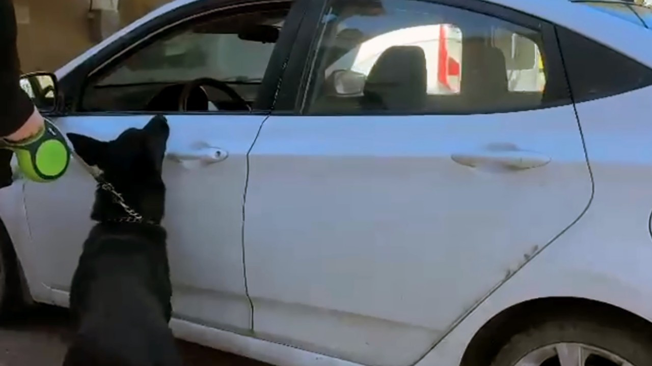 Aracında 66 bin 600 uyuşturucu hap ele geçirildi: "Babam hastaydı, ziyarete gidiyordum" dedi