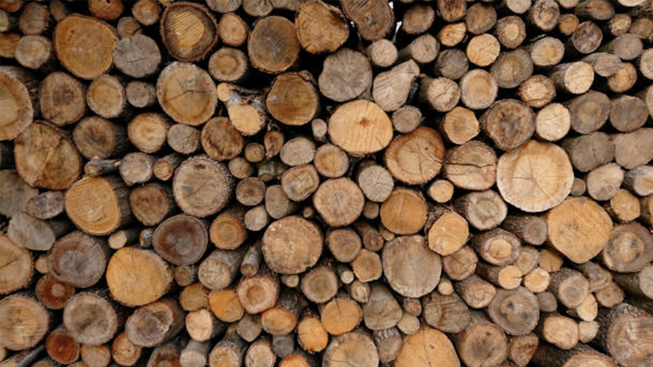 Düzce’den 23 bin 391,39 ton orman ürünü ihraç edildi