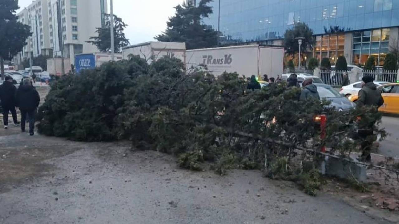 Bahçelievler'de fırtına ağaç devirdi: Bir kişi altında kaldı (Video)