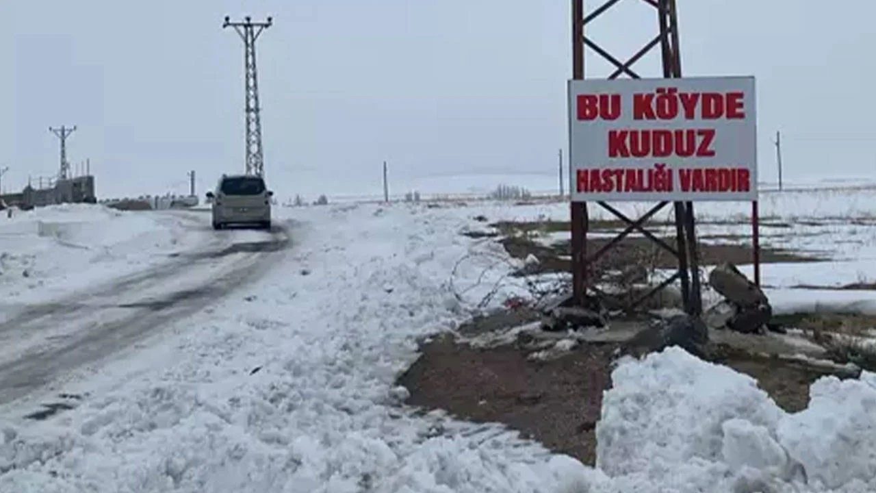 Bitlis'te kuduz vakası tespit edilen köy karantinaya alındı