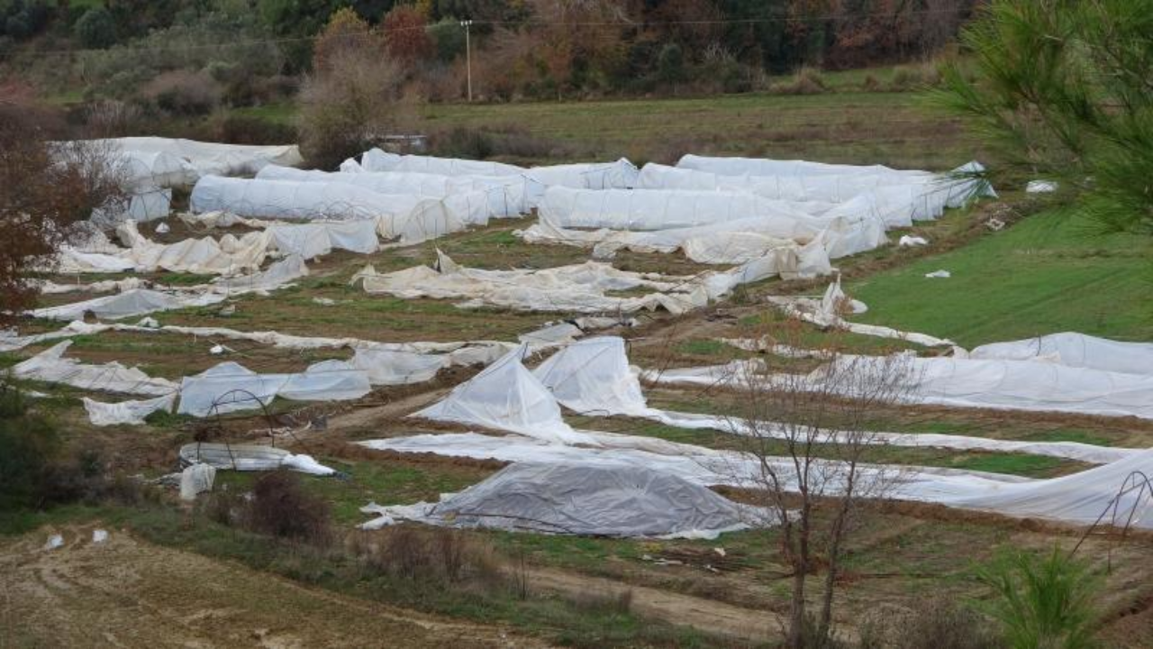 Manavgat'ta hortum 14 serayı kullanılamaz hale getirdi