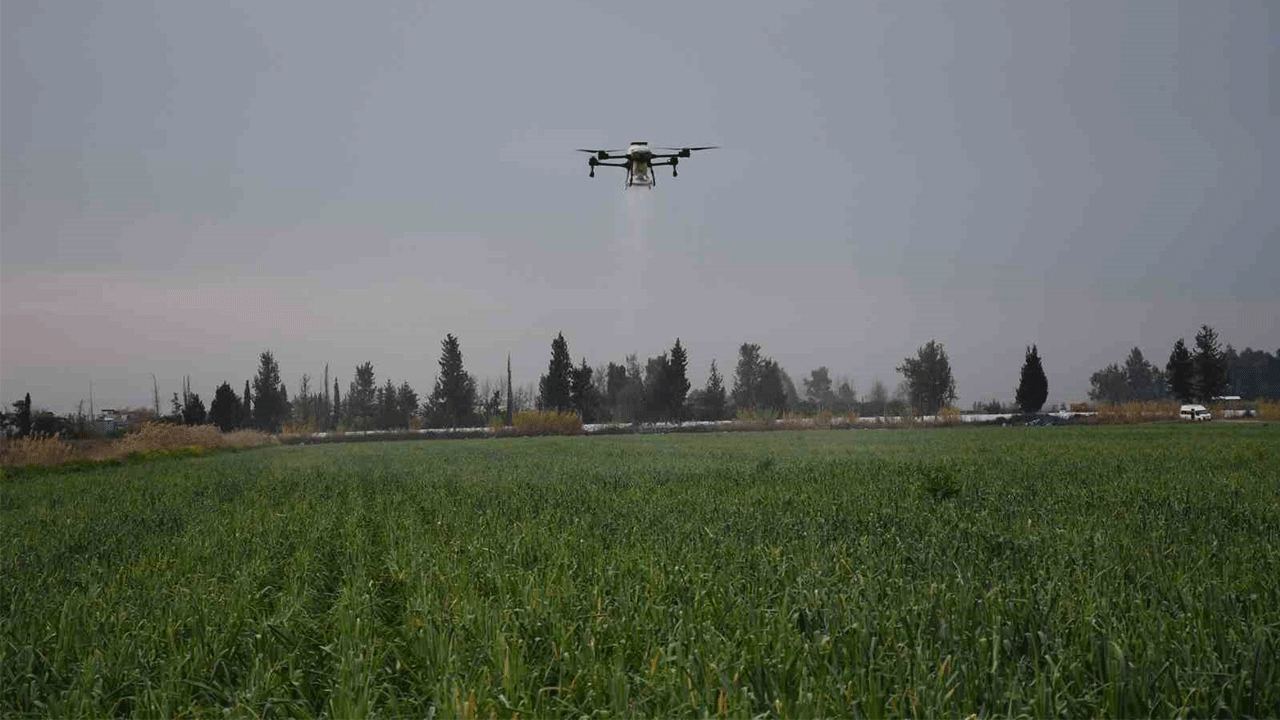 Mersin’de dronla gübreleme ve ilaçlama çiftçiye zaman kazandırdı