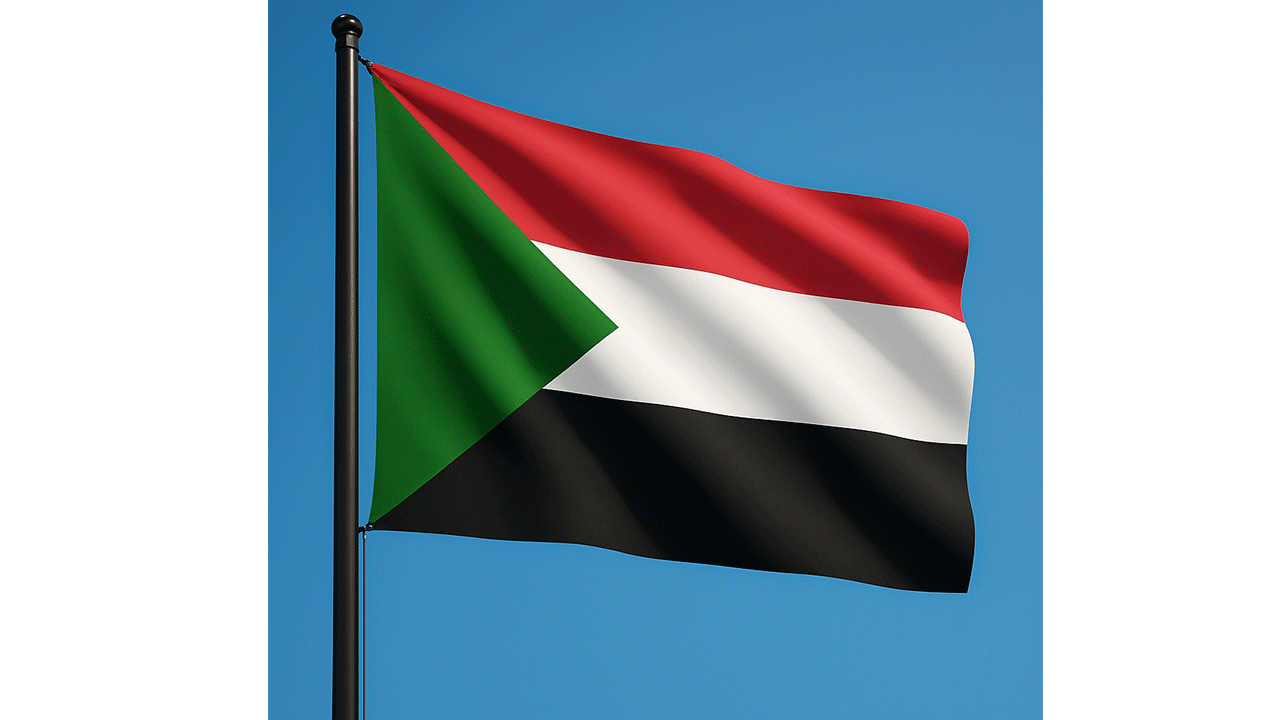 Sudan: Son haftada yüzlerce HDK mensubu etkisiz hale getirildi