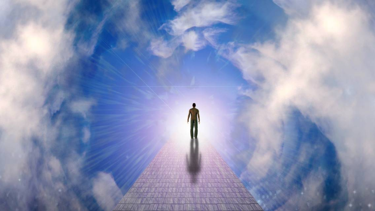 Bilim insanlarından yeni araştırma: Beyin, ölüm anında tüm hayatı yeniden oynatıyor olabilir