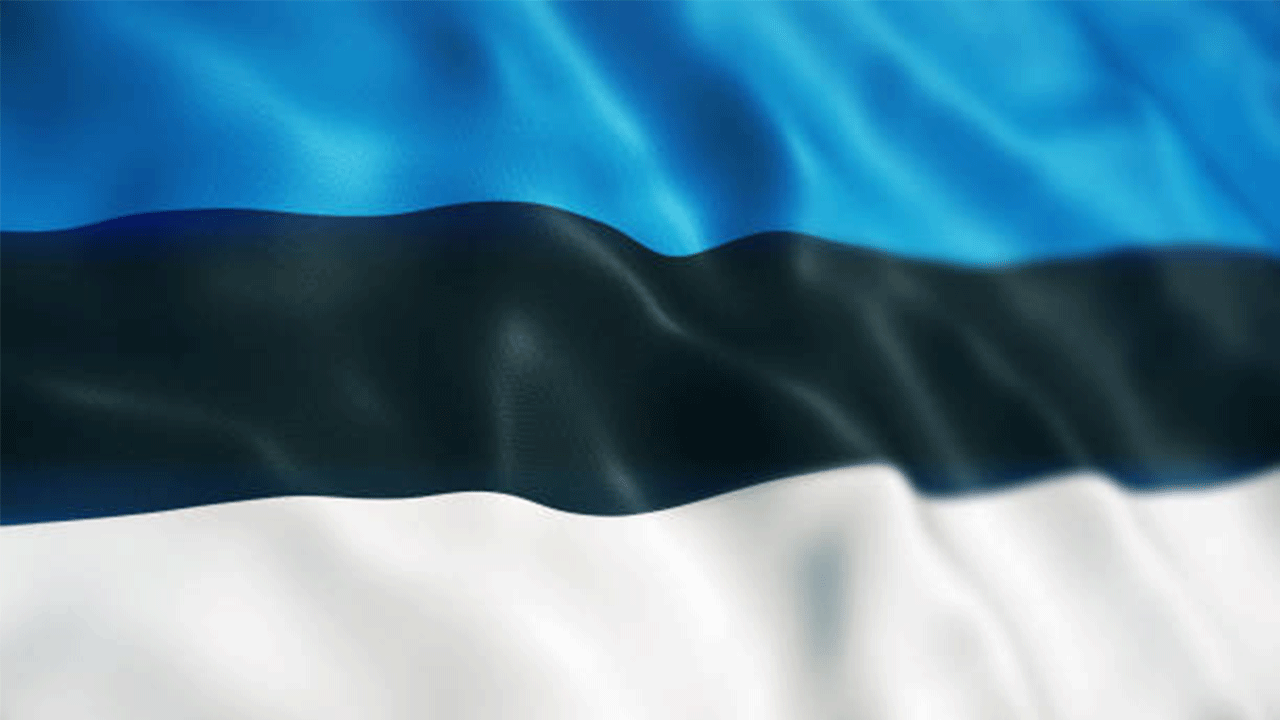 Estonya: AB'nin Rusya'ya özel temsilci ataması fikri bile tehlikeli