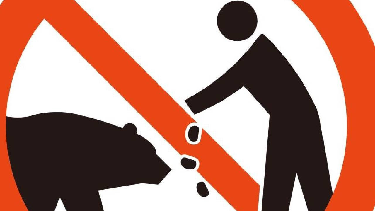 Yeni uyarı işaretleri turistleri ayılardan koruyacak