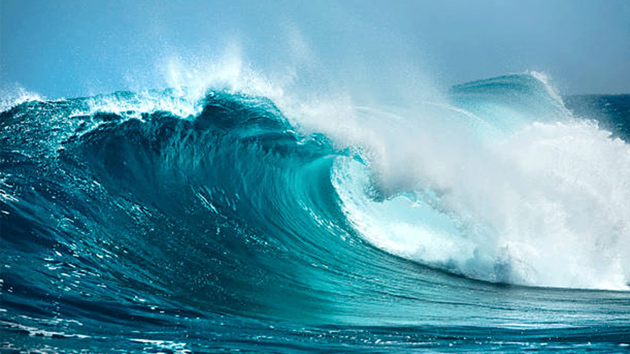 Bilim insanları okyanuslarda ekosistem değişikliği uyarısı yaptı