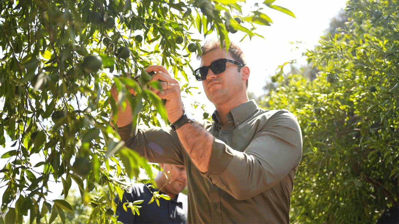 Bodrum Mandalini Türkiye’nin dört bir yanına ulaşıyor