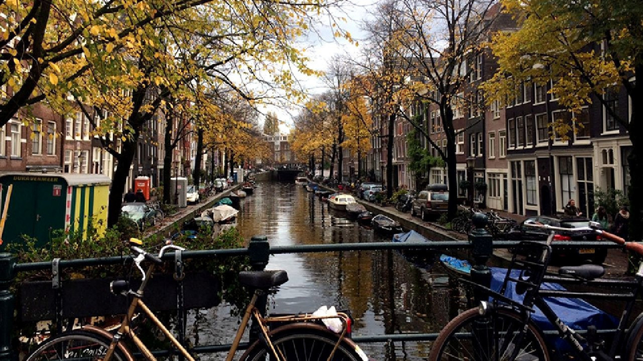 Boğulan kediler için 100 bin Euroluk kanal projesi